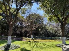 -上海吴淞炮台湾国家湿地公园