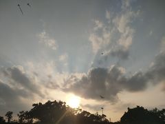 -万绿园