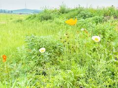 -坝上京北第一草原景区