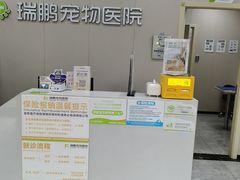 -瑞鹏宠物医院·骨外科·心肾科·肿瘤科(九亭店)