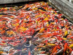 -番禺宾馆丽苑厅