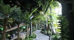 -恐龙探索乐园(磁器口店)