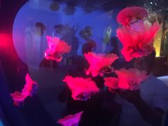 -星巴克(北京首都国际机场7店)