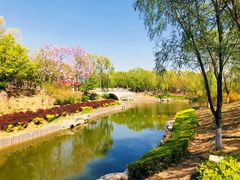 -大兴滨河森林公园