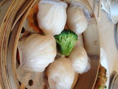 -金苑海鲜酒家(来魅力店)