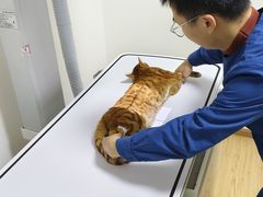 -谐和贝康宠物医院24小时·宠保定点(急重症转诊中心)