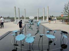 -杭州湾海上花田景区