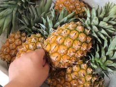 -三亚新鸿港水果一级批发市场