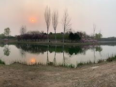 -大兴滨河森林公园