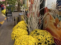 -芽庄中心购物广场