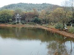 -游子山休闲旅游区