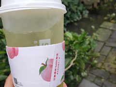 树夏绿葡萄-树夏(锦里店)