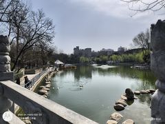 -莲湖公园