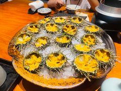 -月龍吟(朝龙汇店)