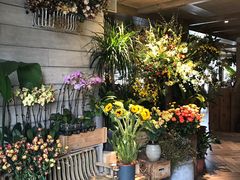-春暖花开(西溪店)