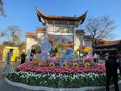 -翠湖公园