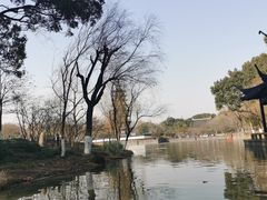 -上海方塔园