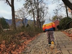 -阳台山自然风景区