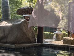 -观唐（国际）度假村温泉