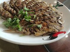 煎江鱼-兴旺农家特色餐馆
