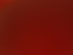 -锦泓老字号猪脏粉(东联大厦店)