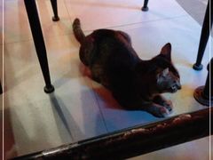 -黄师傅湿辣牛肉(胡桃里店)