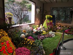 -杭州植物园