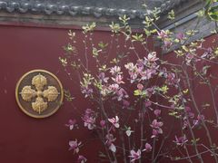 -西安市广仁寺
