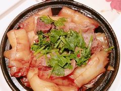 -虾饺妹·酒家(金碧店)
