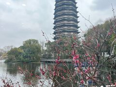 -听松楼·花园酒店·自助餐厅(红梅公园店)