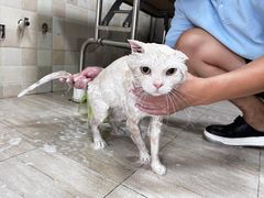 -宠颐生宠物医院·骨外科·犬猫全科诊疗中心(池州店)