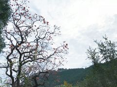 -石门坊