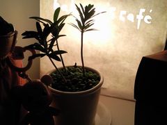 -Babycat私家御饼屋(龙头路一店)