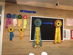 -Husky Go! 哈士奇体验馆·宠物咖啡厅狗咖