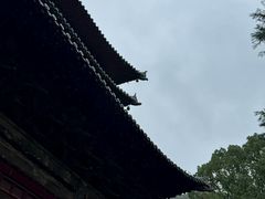 -报恩寺(平武县)