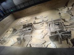 -洛阳周王城天子驾六博物馆