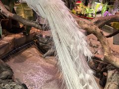 -正佳雨林生态植物园
