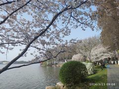-东湖生态旅游风景区