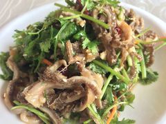 -重阳大酒楼