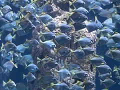 -厦门海底世界