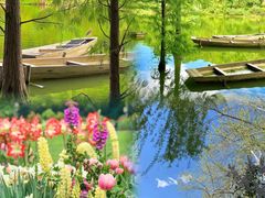 -深圳仙湖植物园