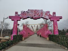 -北京凤凰岭