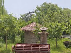 -溱湖国家湿地公园