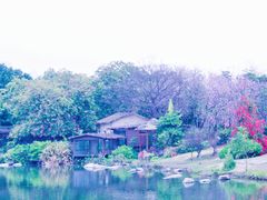 -海珠湖公园