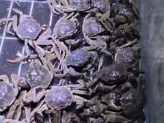 -聚盛源蒸汽海鲜火锅烤肉自助(巨川金海岸购物广场店)