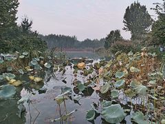 -云居湖