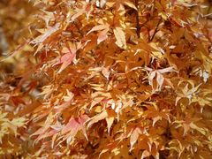 -苏州河梦清园环保主题公园