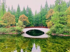 -东平国家森林公园