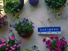 -葑门横街