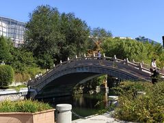 -泉城广场